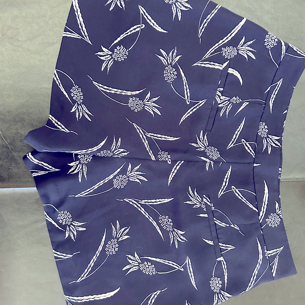 Anne Taylor Shorts